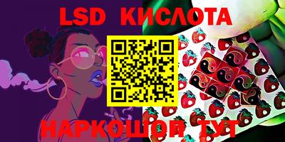 крисы Нарткала