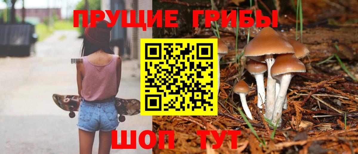 Псилоцибиновые грибы Magic Shrooms  Вход с VPN  Чита 