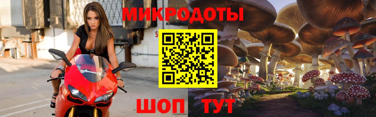 Псилоцибиновые грибы Psilocybine cubensis Чита